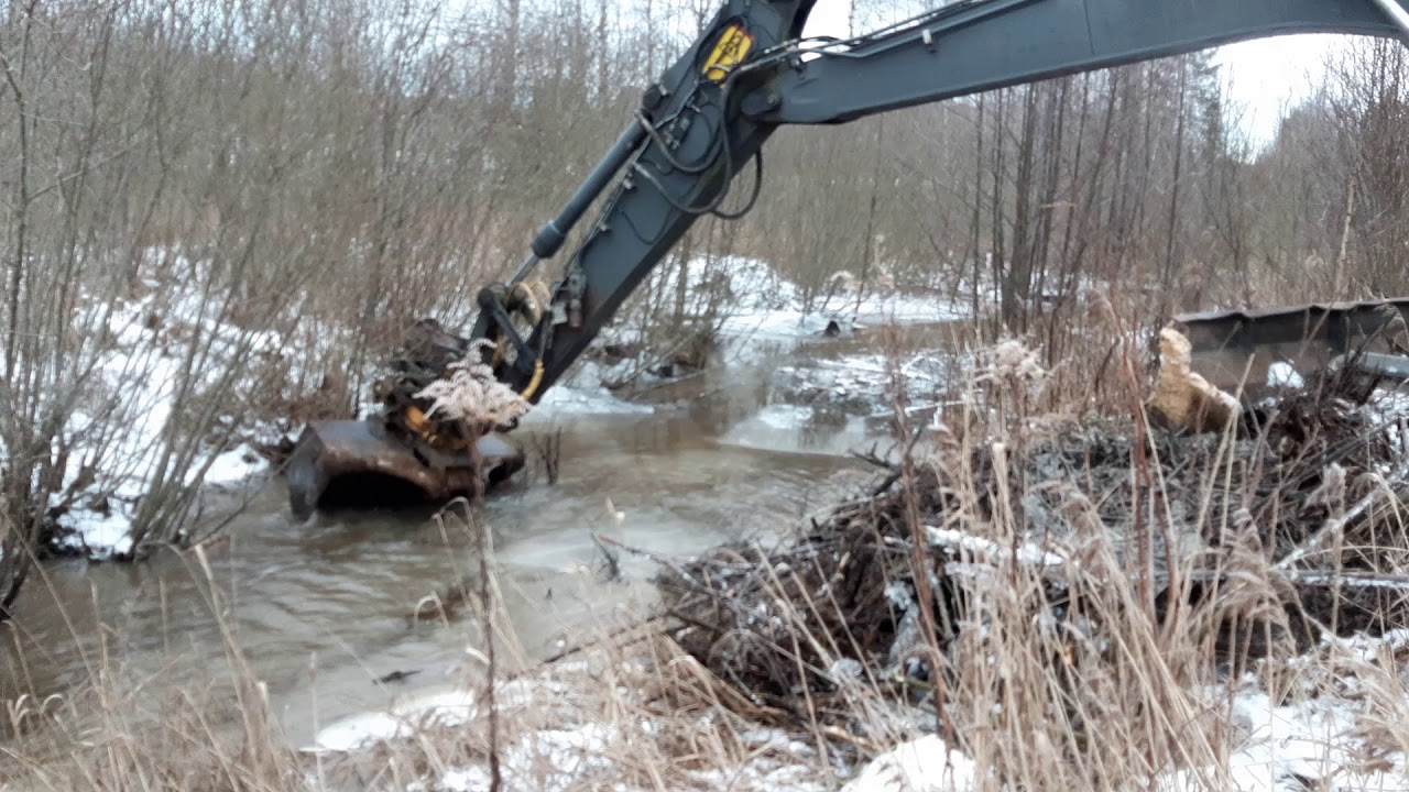 Rivning av bäverdamm