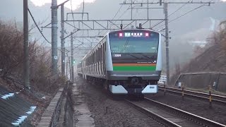 東海道線 E233系3000番台E-04編成 三島~函南間 竹倉踏切通過