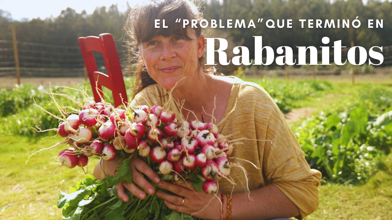 Cambié mis Espárragos para Salvarlos | El problema que me hizo cosechar TANTOS Rabanitos