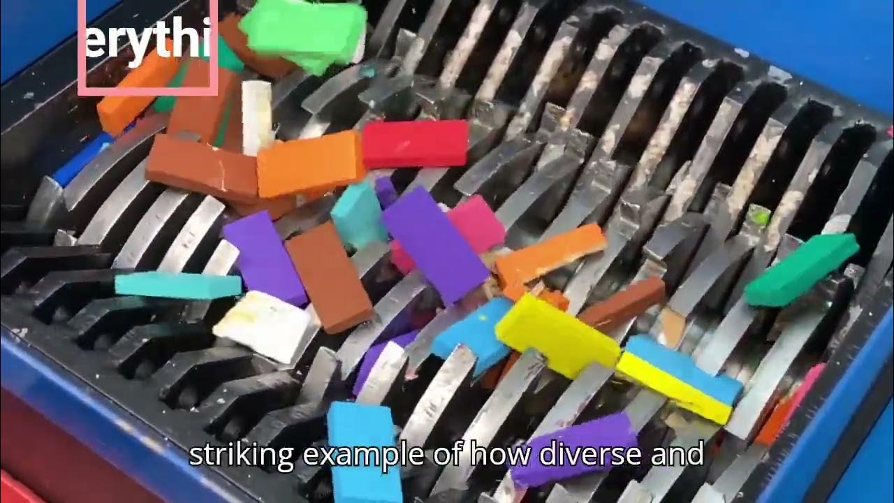 Did you know that female hyenas has a penis - YouTube