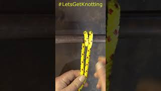 How to Tie a Round Turn and Two Half Hitches #Shorts