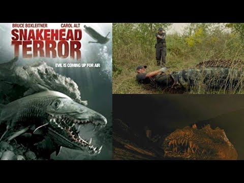 Snakehead Terror (2004) Carnage Count