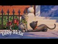 Tabby McTat Has a Crush🩷 @GruffaloWorld: Compilation