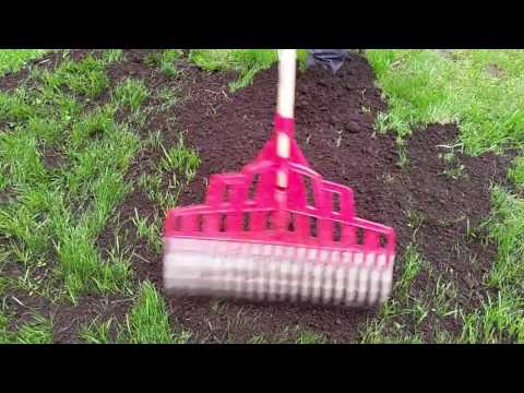 Vidéo: Faut-il prendre une pelouse fraîchement ensemencée ?