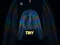 The Animal That Glows Like A Neon Sign! 🌌🔮 | The Comb Jelly #shorts