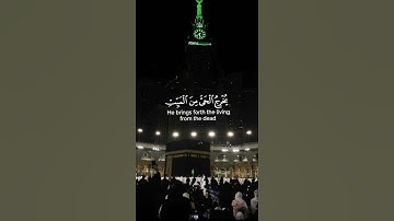 📿سورة الروم | القارئ عبدالله الخلف #قران_كريم #عبدالله_الخلف 🕊🕋