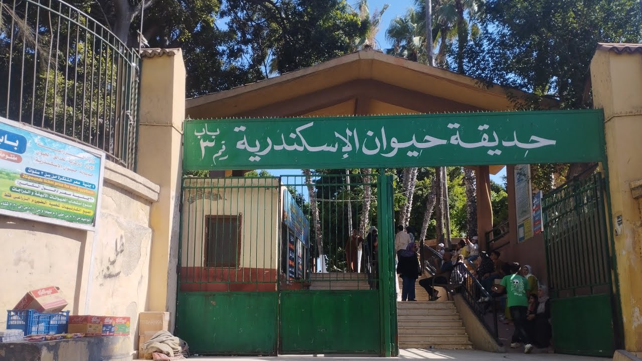 جولة جميلة جدا في حديقة الحيوان بالإسكندرية