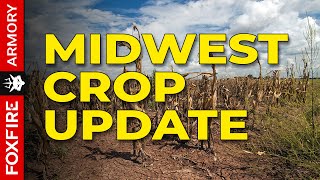 Midwest Crop Yield Update