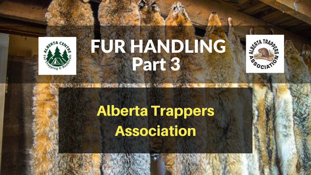 Fur Handling Part 3   ATA