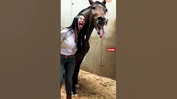 شاهد هل حصان ماذا يفعل فتاه جميله هه Horse 