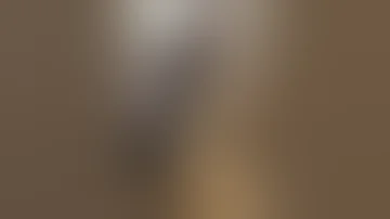 شاهد هل حصان ماذا يفعل فتاه جميله هه Horse 