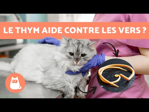 VERS chez LES