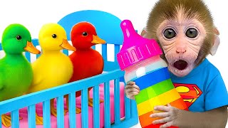 Download Lagu Singe Bon Bon s’occupe des adorables canetons et achète de nouveaux biberons pour ses petits amis MP3 Download Lagu Singe Bon Bon s’occupe des adorables canetons et achète de nouveaux biberons pour ses petits amis MP3