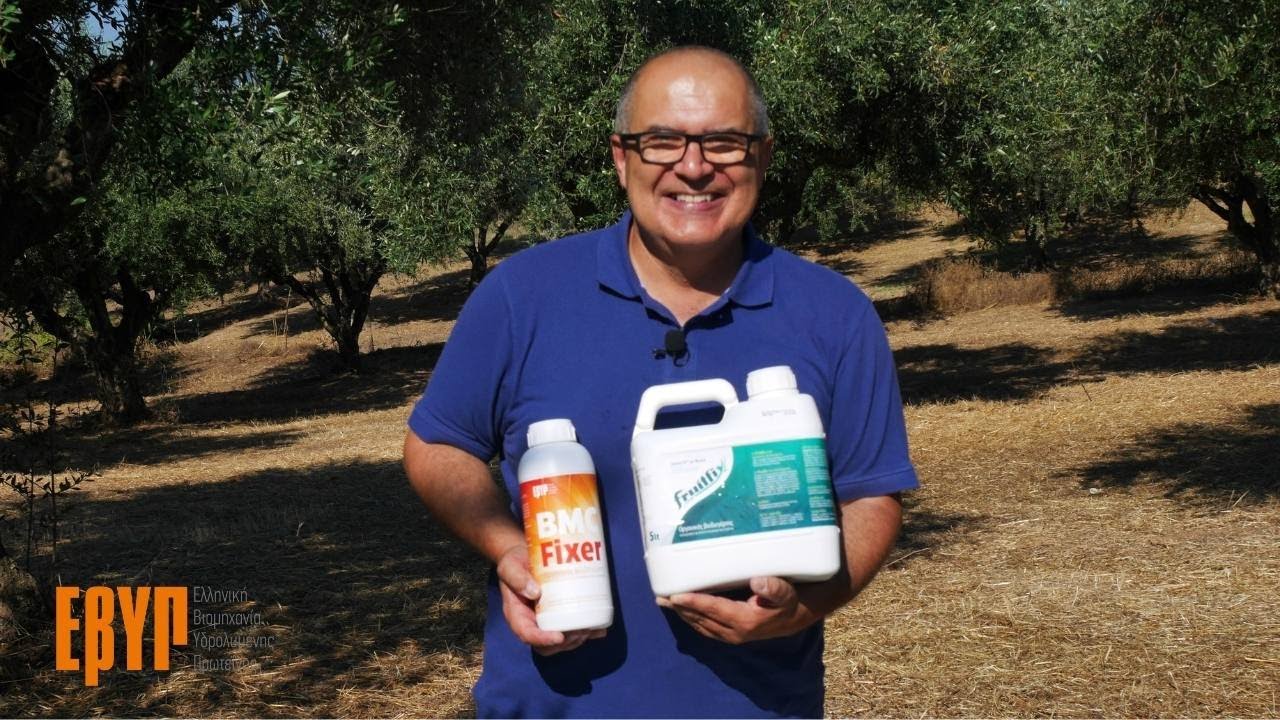 Η τρίτη εφαρμογή του Amino 16 στην ελιά!