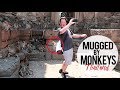 Mugged by Monkeys: Lopburi Monkey Temple Thailand