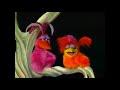 Youtube Thumbnail Muppet Songs: Birds in a Tree (Pilot)