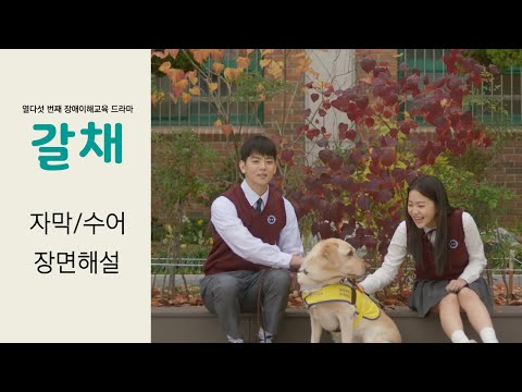 [자막/수어/장면해설]  갈채 ｜ 15번째 장애이해드라마