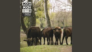 Download Lagu Dodol Download Lagu Dodol