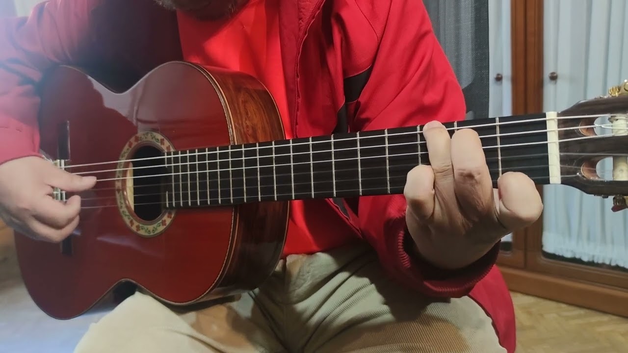 Flamenco 17 Cocobolo Juan Montes