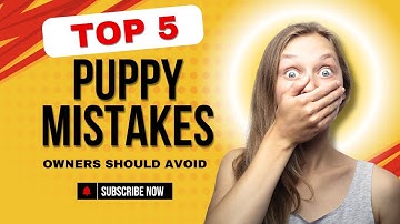 "5  Puppy Mistakes Every Owner Should Avoid"