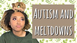 Talking About Meltdowns