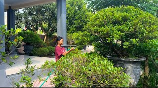 The house didn't sell, apparently this is the reason 🤣🤣🤣🤣