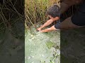 Грязный пруд мутная водяная рыба ловит! Голая рука, такая расслабляющая