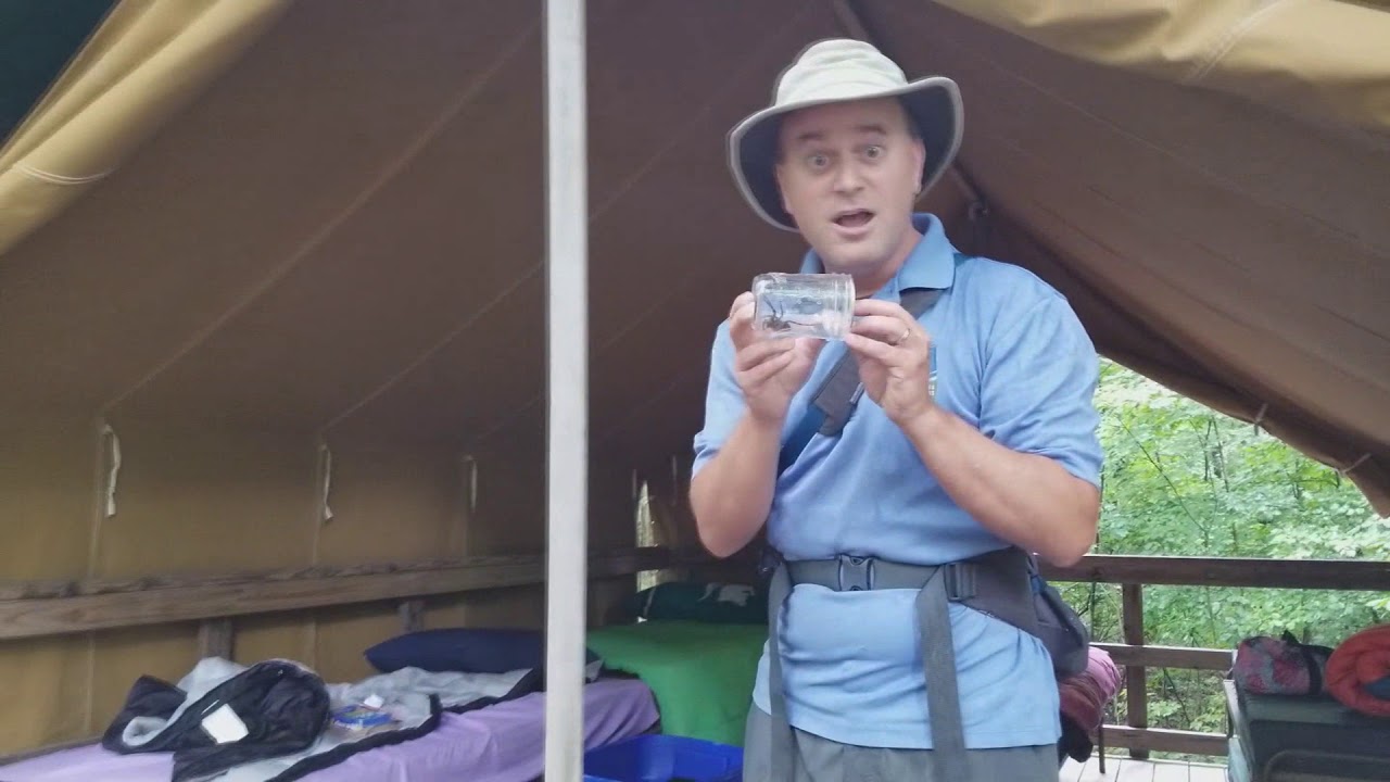 Removing Spiders in Tents