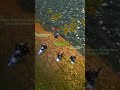 Bro Just Wanted To Fish 😭 4 Thunderfury Rogue ... #wowclassic #wowtbc #wowfunny #roguepvp #shorts