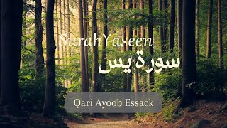 SURAH YASEEN | QARI AYOOB ESSACK