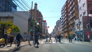 【飛鳥山公園〜上中里駅〜JR東日本 田端運転所〜田端駅〜根津神社】2021年2月23日 天皇誕生日【東京ドライブ】National Holiday TOKYO Drive