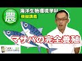 「マサバを完全養殖する！」農学部・長野 直樹