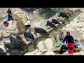Cleaning the spring water path for animals | Nomadic women's hard work in nature