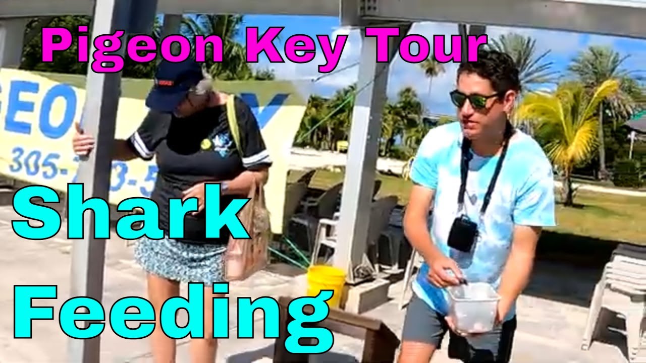 Экскурсия по Пиджен-Ки — экспресс-шаттл Pigeon Key