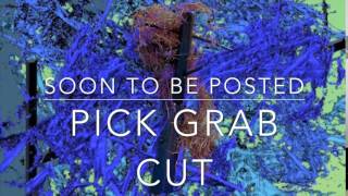Pick, Grab, Cut