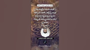 الآية (19)من سورة النمل... القارئ الشيخ مشاري العفاسي.