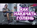 КАК НАКАЧАТЬ ГОЛЕНЬ