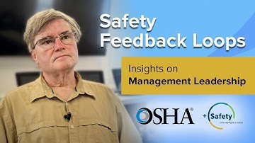 Core Elements - Safety Feedback Loops