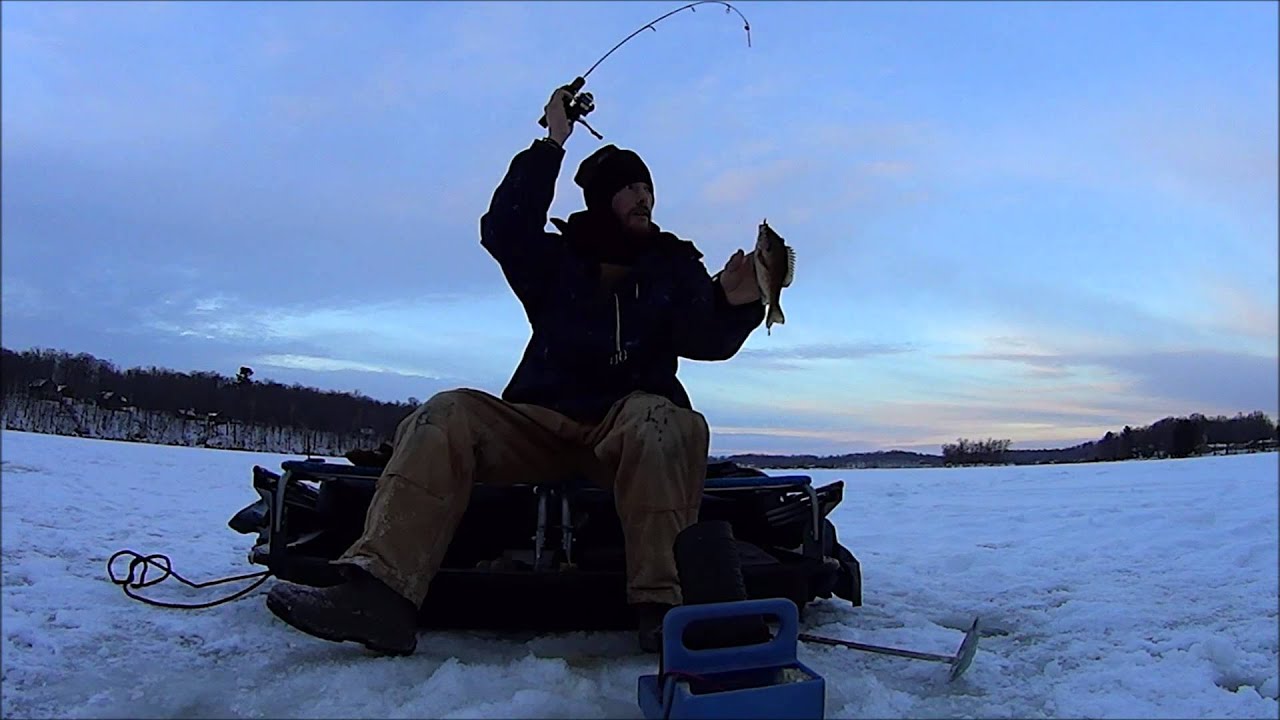 Show 4- Wisconsin Bluegill IceFishing - YouTube