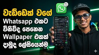 WhatsApp එකට Transparent Wallpaper එකක් දාමු | Hidden Trick | Sinhala screenshot 3