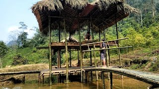 Full video; 4 years living in the forest building a bamboo house