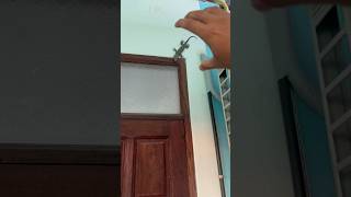 จับปิ้งแม่งเลย #สัตว์เลี้ยง #animals #shortvideo