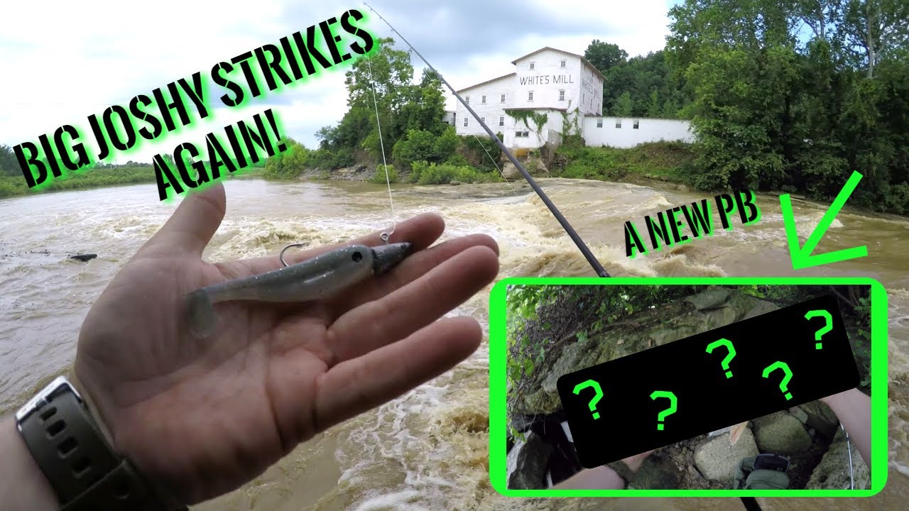 Catching Hocking River GIANTS with Big Joshy Swimbaits 