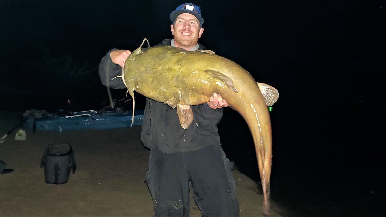 Exploring SMALL rivers for MONSTER FISH!! (55 lb flathead) 