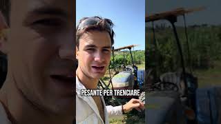 Cosa preferite trattore a ruote o cingoli #agricoltura #toscana #farming #tratores #newholland