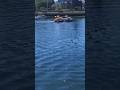 Harbour ferry Ballet in Victoria #ThinkPositiveKickNegative #KeeponwiththeOutdoors #JKvlogsmerch