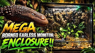 We Built a MEGA Borneo Earless Monitor Enclosure! 🤯