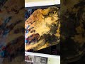 Buckeye burl #coachellavalley #fyp #socal #riversidecounty #liveedgetable