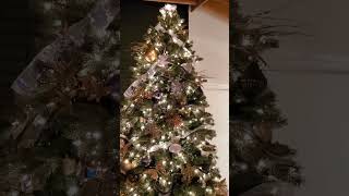 Funny Short Tree Tops Glisten... Merry Christmas! #Christmas #Christmastree #deckthehalls