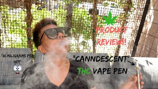 THIS VAPE PEN GOT ME SO HIGH I FORGOT WHERE I LIVED😳| Canndescent Vape Review!